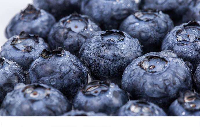 蓝莓果的作用有哪些 吃蓝莓对人有什么好处