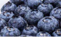 吃蓝莓有什么营养价值 吃蓝莓有哪些好处