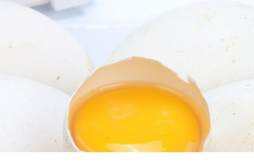 鹅蛋有排毒作用吗 鹅蛋去胎毒是真的吗