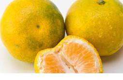 橘子吃多了会变黄是真的吗 一天吃几个橘子皮肤不会变黄