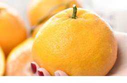 耙耙柑是橙子还是橘子 耙耙柑是不是就是丑橘