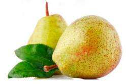 秋季吃梨要如何选择？梨不是只有清肺润燥的功效！