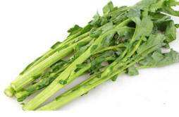 油菜苔的营养价值 红油菜苔的营养成分