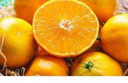 果冻橙能蒸着吃吗 果冻橙可以用吸管吸吗