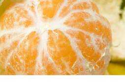 空腹吃橘子有什么影响 空腹吃了橘子怎么办