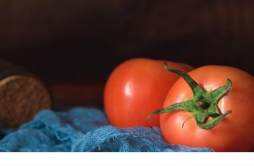 西红柿能放多久 怎么判断西红柿坏了