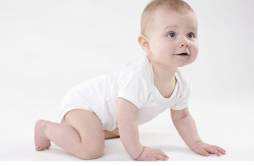 8个月宝宝发育指标 8个月宝宝发育指标身高体重