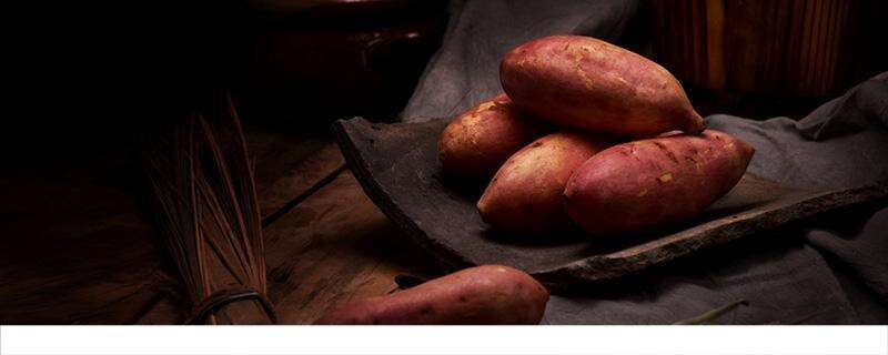 红薯可以和猕猴桃一起吃吗 红薯不能和什么一起吃