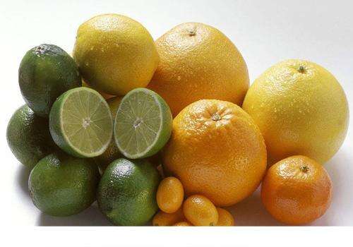 柑橘类水果有哪些 它们不仅好吃还有妙用