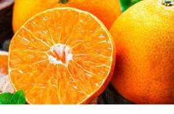 沃柑和橙子哪个营养价值更高 沃柑和橙子哪个好吃