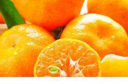 山竹和柑橘能一起吃吗 吃橘子有什么禁忌