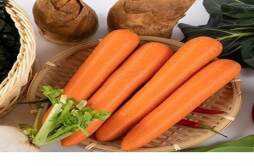 胡萝卜和白萝卜能一起吃吗 胡萝卜和什么相克