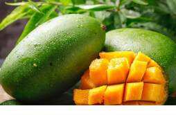 芒果和火龙果能一起吃吗 吃芒果能减肥