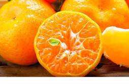 橘子是热性还是凉性 吃橘子有什么好处