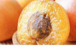吃杏子有什么好处 吃杏子可以减肥吗