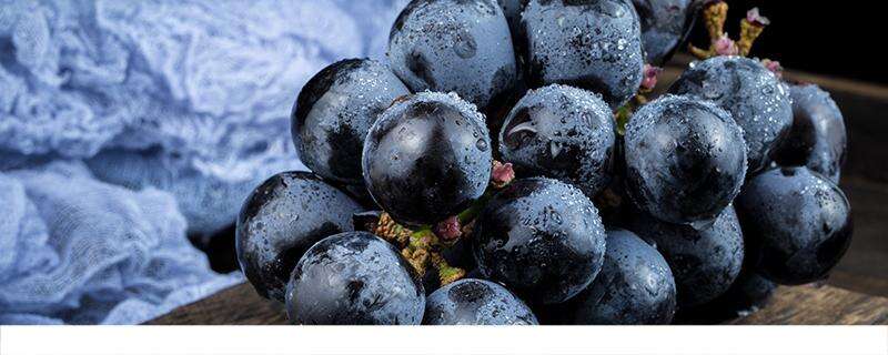 蓝莓每天吃多少合适 蓝莓吃多了会怎么样