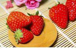 孕妇可以吃草莓吗 控糖孕妇可以吃草莓吗