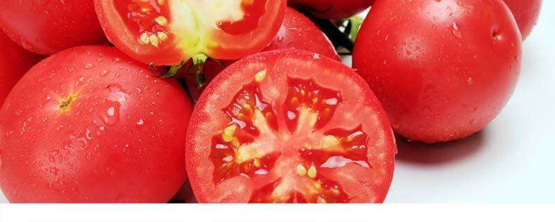 西红柿炒洋葱可以吃吗 西红柿炒洋葱的功效与作用