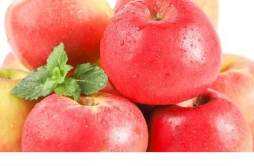 糖心苹果减肥能吃吗 糖心苹果和普通苹果有什么区别