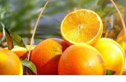 橙子加盐蒸熟了喝水有什么功效 盐蒸橙子怎么做