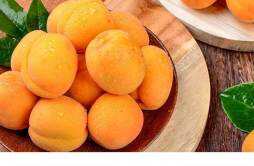 杏子成熟的季节 杏子是不是梅子