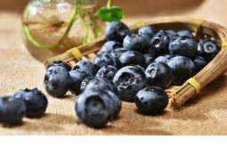 蓝莓表面的白色能吃吗 蓝莓上的白霜是什么