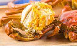 螃蟹可以和橘子一起吃吗 螃蟹和橘子一起吃好吗