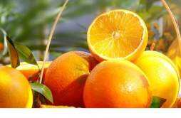 为什么橘子上火橙子降火 橙子和橘子有什么区别