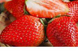 草莓不适合哪些人群吃 草莓可以不洗就吃吗