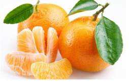 女人吃橘子的好处 橘子的营养价值