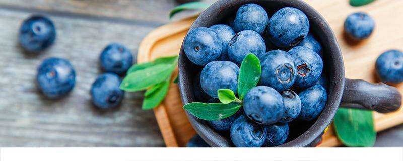 进口蓝莓与国产区别 国产蓝莓其实比进口好