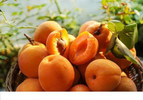 哺乳期可以吃杏子吗 吃杏子要注意什么