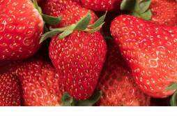 草莓可以和什么水果一起打汁 草莓榨汁可以放多久