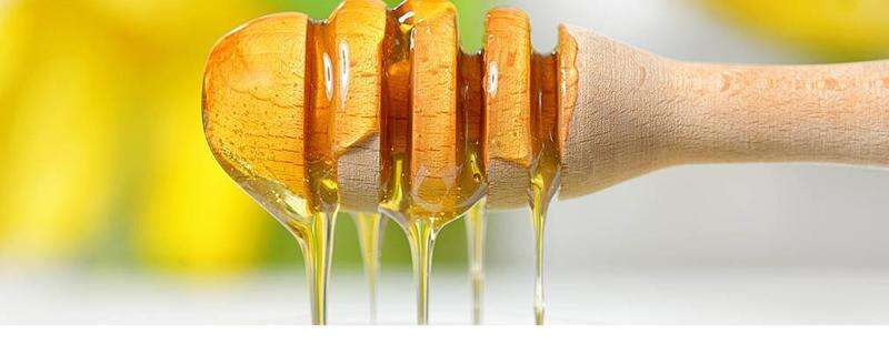 圆葱和蜂蜜能一起吃吗 吃完洋葱多久能喝蜂蜜