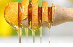 圆葱和蜂蜜能一起吃吗 吃完洋葱多久能喝蜂蜜