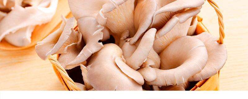 新鲜蘑菇可以冷冻保存吗 蘑菇怎么保存时间长