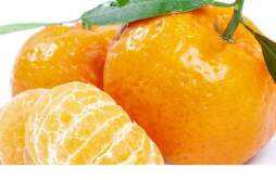 吃橘子的好处是什么 吃橘子会变胖吗