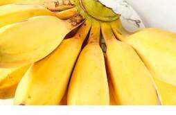 小米蕉里面会有黑色籽怎么回事 小米蕉有籽可以吃吗