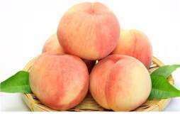 蟠桃和水蜜桃哪个好 蟠桃和水蜜桃的区别