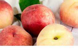 咳嗽能吃桃子吗 咳嗽可以吃什么水果呢