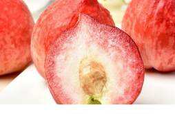桃子放冰箱冷藏可以保存多久 桃子变黄了还能不能吃