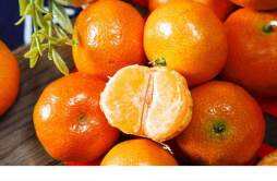 酸橘子放几天会变甜吗 橘子放几天可以变黄
