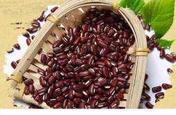 红豆薏米吃多久才能除湿 红豆薏米搭配什么吃除湿效果好