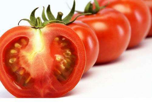 番茄不能和什么一起吃 番茄不能和什么一起吃香哈网手机版