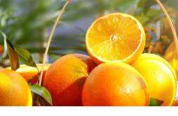 冬天吃橙子需要加热吗 橙子加热了还有营养吗