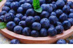 野生蓝莓吃了有什么好处 野生蓝莓什么时候成熟