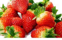 怎么样选草莓 草莓怎么保存