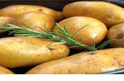 健身为什么吃土豆 吃土豆是减肥还是增肥