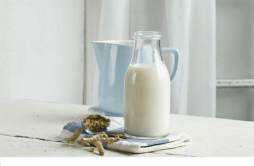 豆奶可以快速催尿吗 哪种豆奶催尿效果更好