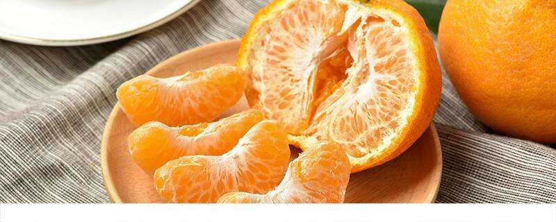 吃完橘子可以吃柿子吗 橘子不能和什么同食